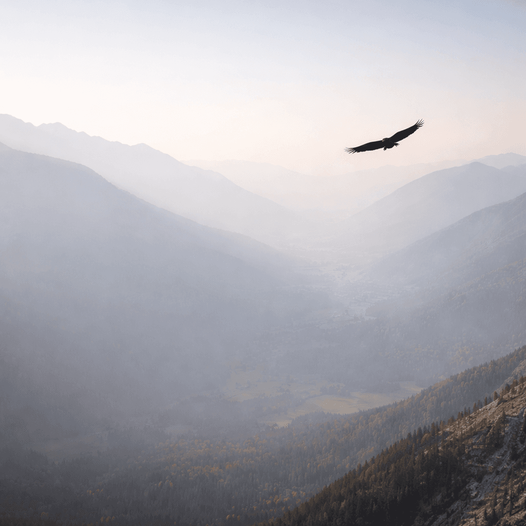 Illustration conceptuelle de la génération de demande et de la capture de demande